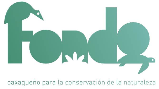 Fondo Oaxaqueño Logo